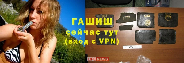 стаф Аркадак