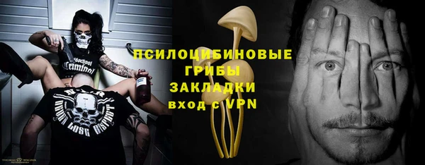 стаф Аркадак