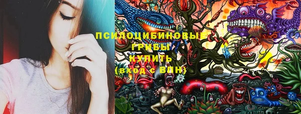 тгк Арсеньев