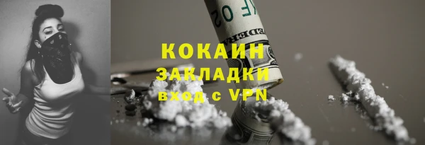 стаф Аркадак