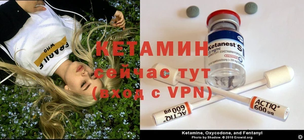 стаф Аркадак