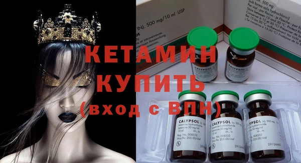 стаф Аркадак