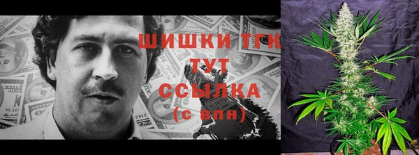 тгк Арсеньев