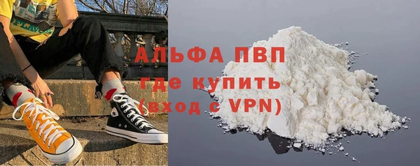 стаф Аркадак